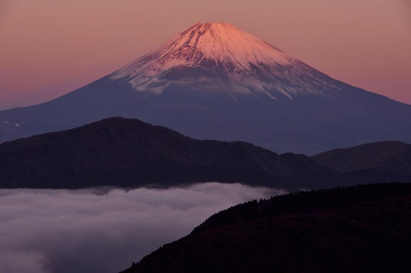 [ 大観山からの紅富士 ]  紅富士と雲海