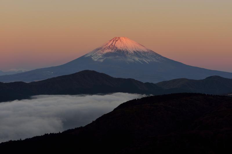 [ 朝日を浴びる富士山（大観山から）　No2 ]  富士山と空がピンクに染まります