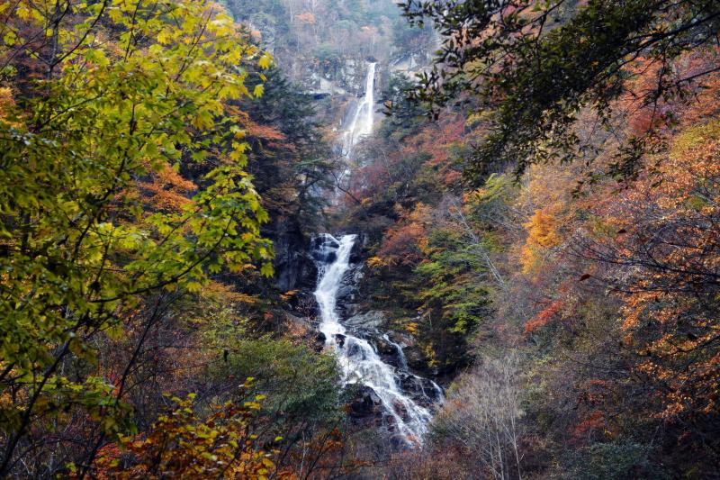 紅葉の北精進ヶ滝| 目の前に現れた滝は巨大でした