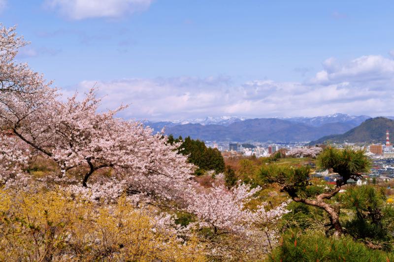 [ 花見山からみた福島市街 ]  花見山からは福島市や吾妻連邦が見えます。