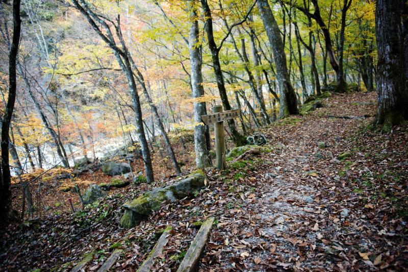 [ 北精進ヶ滝へ向かう道 ]  紅葉の道は気持ちいい