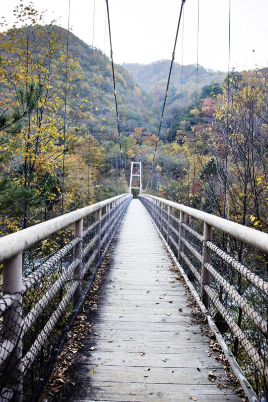 [ 長いつり橋 ]  作りが良いのであまり揺れません