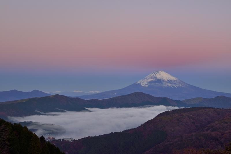 [ ピンク色に染まる空と富士山 ]  富士山の上の空がピンクに染まりました