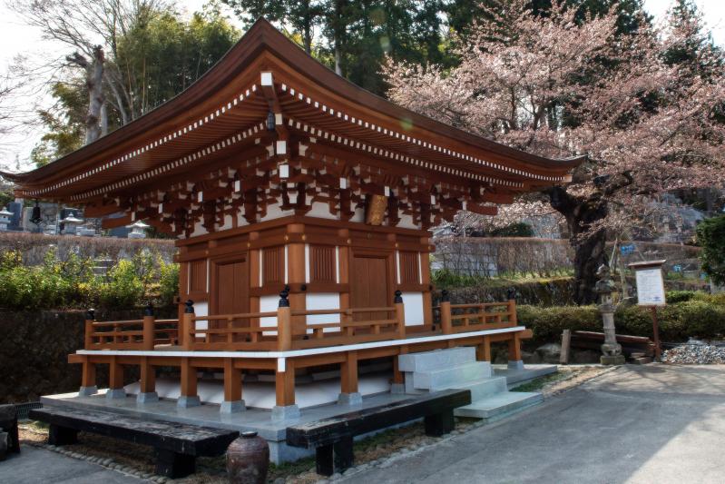 [ 法蔵寺の桜 ]  本堂左側に桜があります