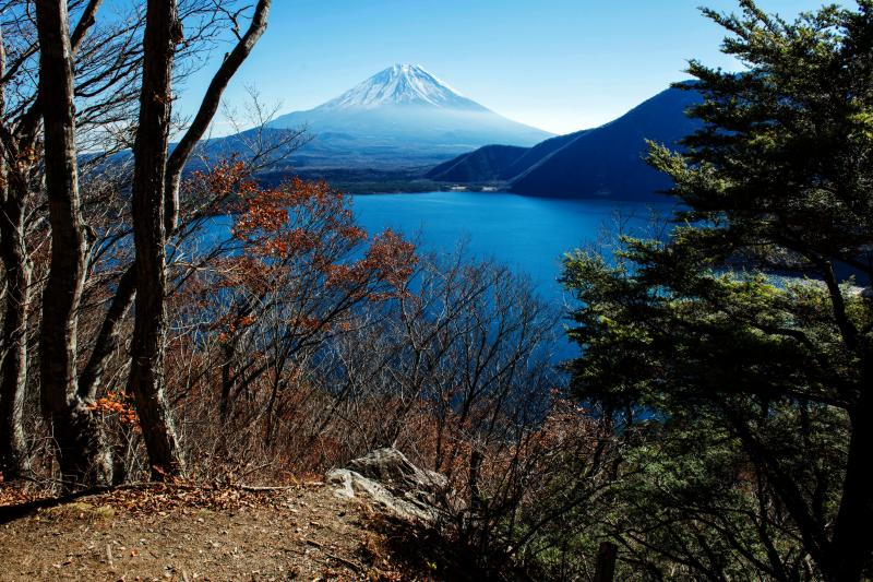 [ 本栖湖を見下ろして ]  パノラマ台に行く道の途中から見た本栖湖と富士山