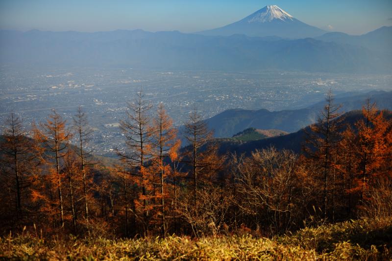 [ 甘利山の秋景色と富士山 No2 ]  甘利山の富士山撮影スポットからの眺望