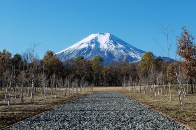 富士山へ続く道| 砂利の道が富士山へと向かっています