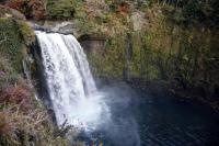 水量豊かな音止めの滝| 白糸の滝のすぐ側にあります