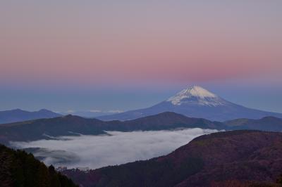 ピンク色に染まる空と富士山| 富士山の上の空がピンクに染まりました