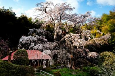 雪村（画僧）が晩年を過ごした歴史ある地