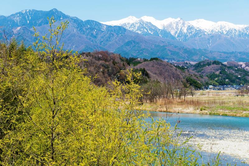 [ 天竜橋からの風景 ]  春には新緑・桜・美しい川・残雪の中央アルプスの姿を見ることができます。