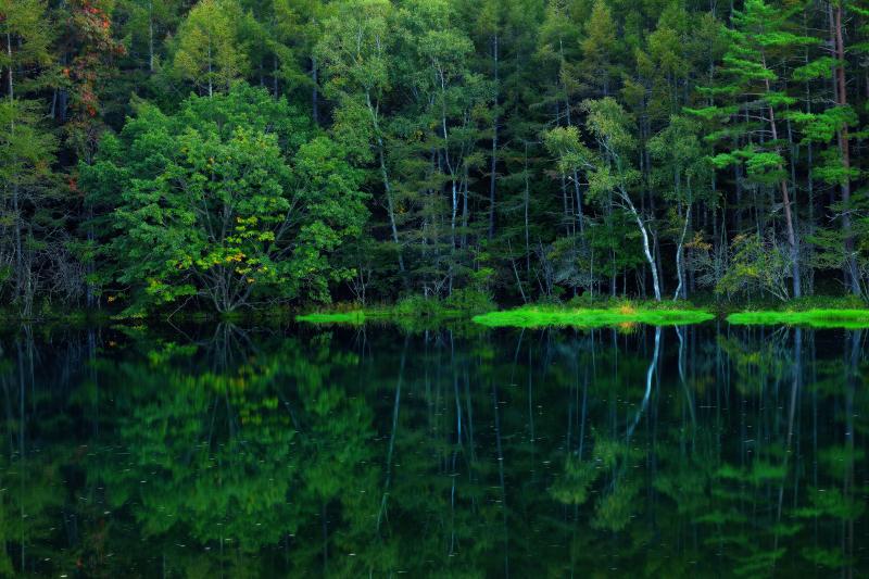 [ 初秋 ]  木々の葉が少しずつ色づいてきた御射鹿池湖畔。夕日が沈む頃、静寂さに包まれた池は神秘的。