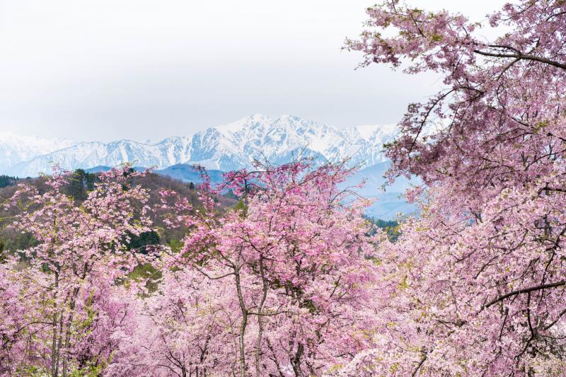 [ これぞ絶景 ]  出会いたかった風景が目の前に