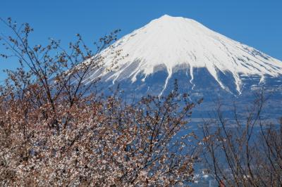 岩本山公園からの富士山| 大きな富士山が見えました。