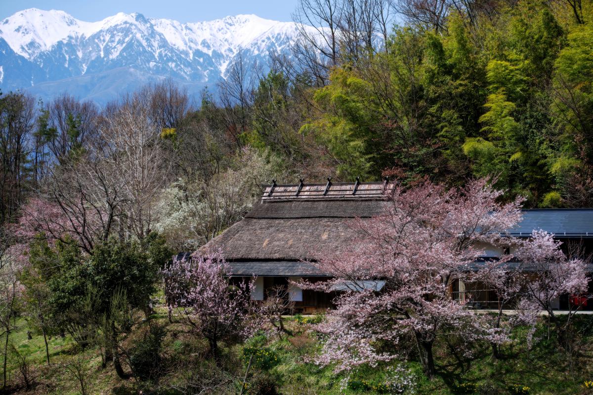 谷村家の桜 ピクスポット 絶景 風景写真 撮影スポット 撮影ガイド カメラの使い方 谷村家の桜 ピクスポット 絶景 風景写真 撮影スポット 撮影ガイド カメラの使い方