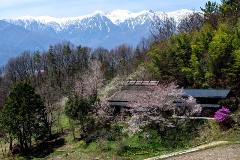 [ 谷村家の桜 ]  中川村にある日本の原風景。