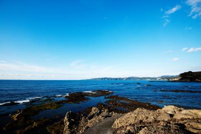 恵比須島の磯| 青空と海が綺麗です。