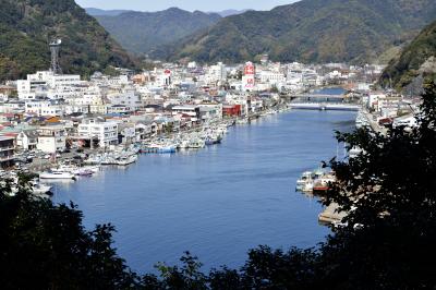 下田城山公園からの眺望| 下田の市街地を一望できます。