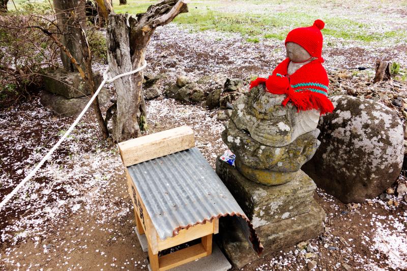 [ 中塩のしだれ桜・子抱き地蔵 ]  