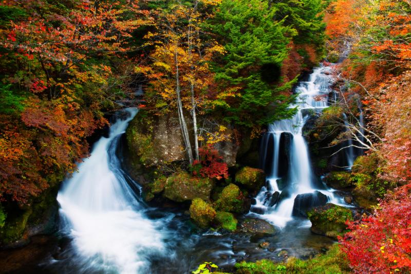 [ 竜頭の滝 紅葉 ]  色鮮やかな紅葉に包まれた竜頭の滝です。