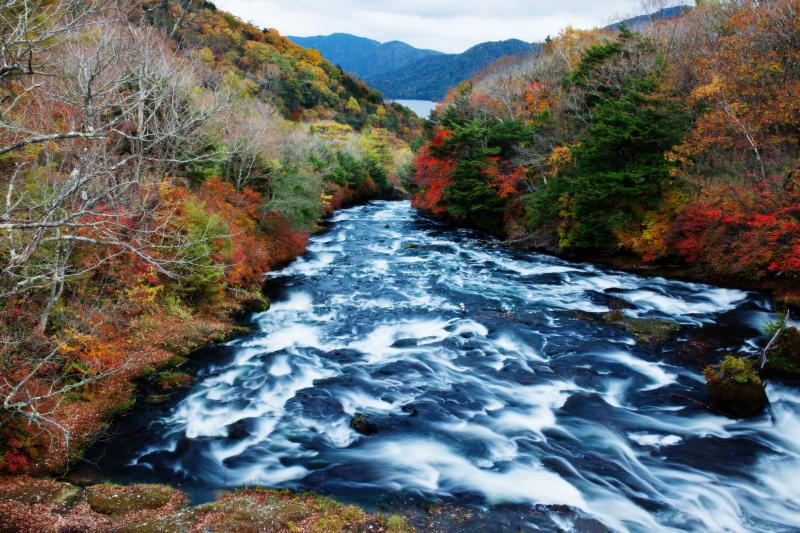 [ 竜頭の滝 紅葉（上流） ]  上流の橋の上からの眺望