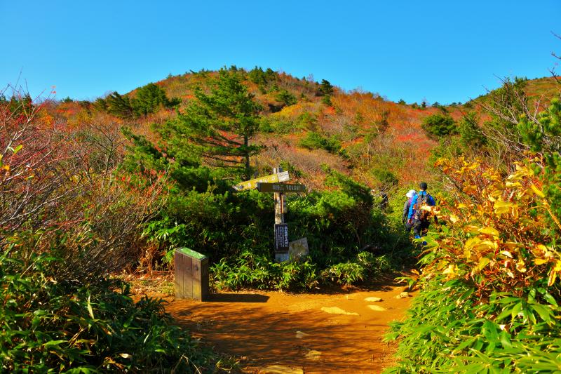 [ 安達太良山 紅葉 ]  