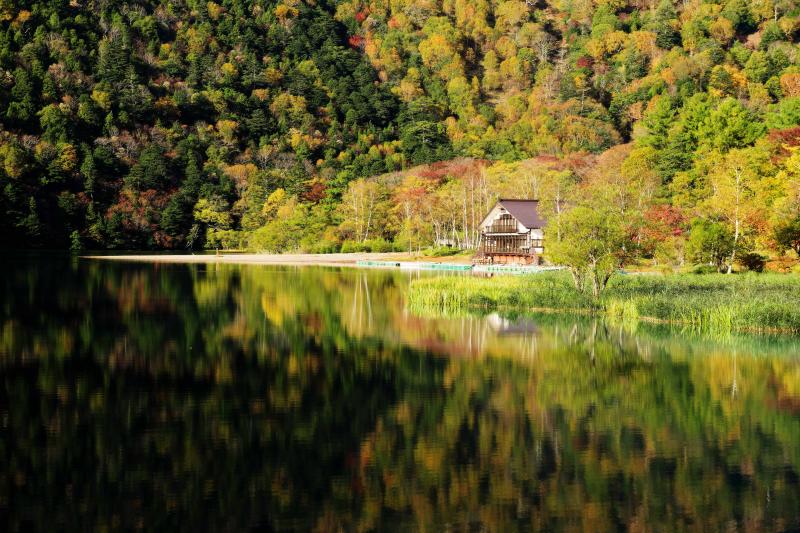 [ 彩られた湖畔 ]  湖を囲み覆い尽くすような紅葉。針葉樹の深い緑が錦秋の紅葉を引き立てます。