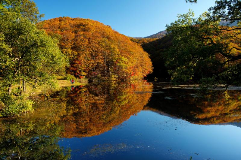 [ 曲沢沼・紅葉風景 ]  対岸の紅葉がとても美しいです。