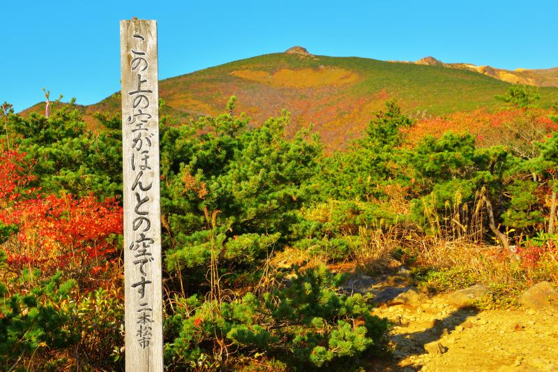 [ この上の空がほんとの空です。 ]  