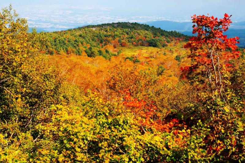 [ 天狗の庭 ]  沢山の奇岩と紅葉を俯瞰できます。奥には福島市の街並みが見えます。