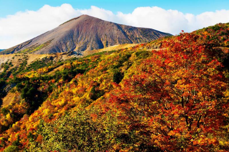 [ 磐梯吾妻スカイライン　紅葉 ]  