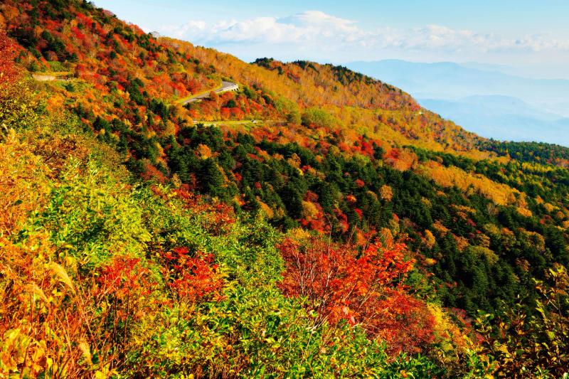 [ 磐梯吾妻スカイライン　紅葉 ]  