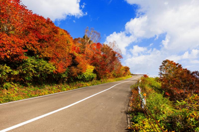 [ 磐梯吾妻スカイライン　紅葉 ]  