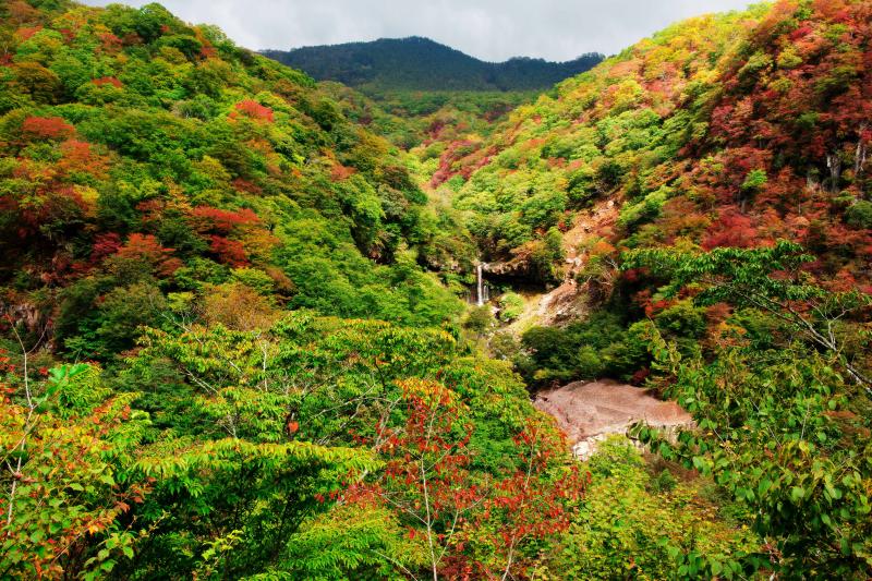 [ 般若滝と紅葉 ]  紅葉の綺麗な谷です。