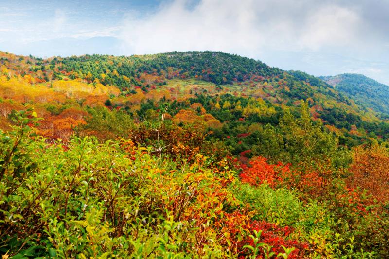 [ 彩りの山々 ]  カラフルな山景色になっていました。