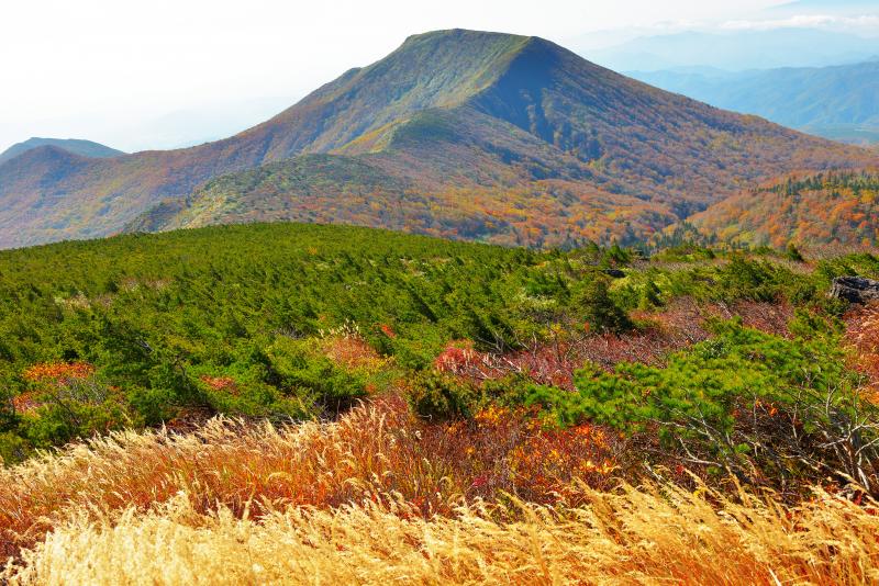 [ 安達太良山 紅葉 ]  