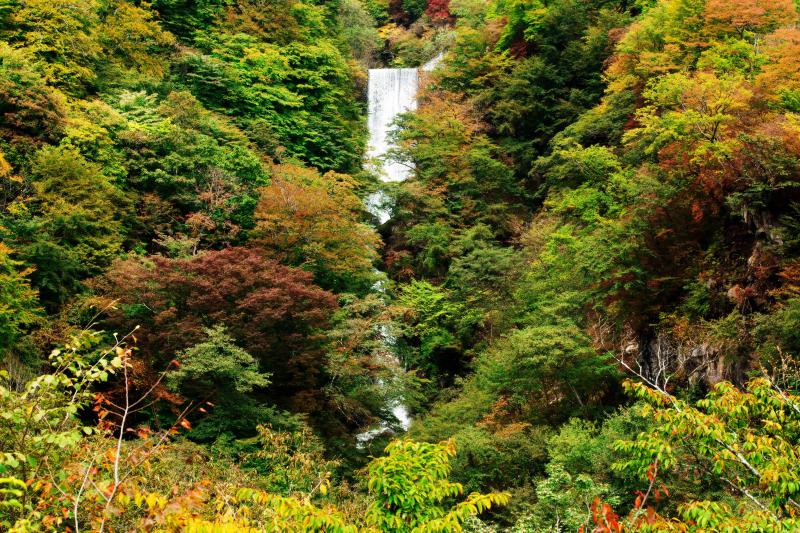 [ 紅葉の方等滝 ]  堰堤の下に滝があります。