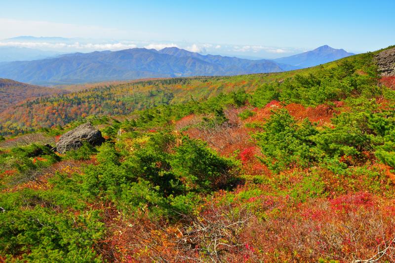 [ 安達太良山 紅葉 ]  