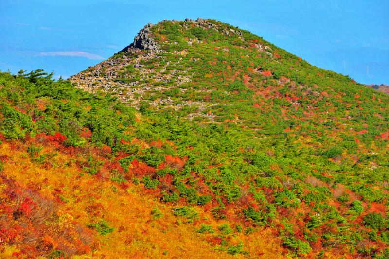 [ 篭山の紅葉 ]  沼ノ平からくろがね小屋へ向う途中に見えるピーク。