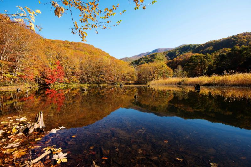 [ 裏磐梯の秋風景 ]  裏磐梯は湖沼がとても多い場所です。