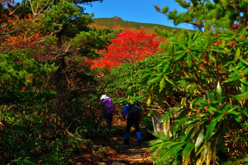 [ 安達太良山 紅葉 ]  