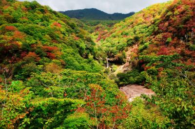 般若滝と紅葉| 紅葉の綺麗な谷です。