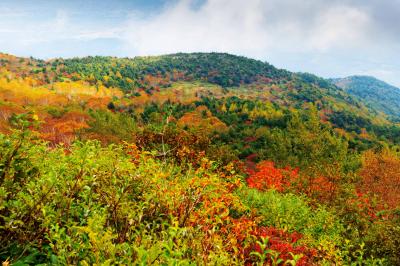 彩りの山々| カラフルな山景色になっていました。