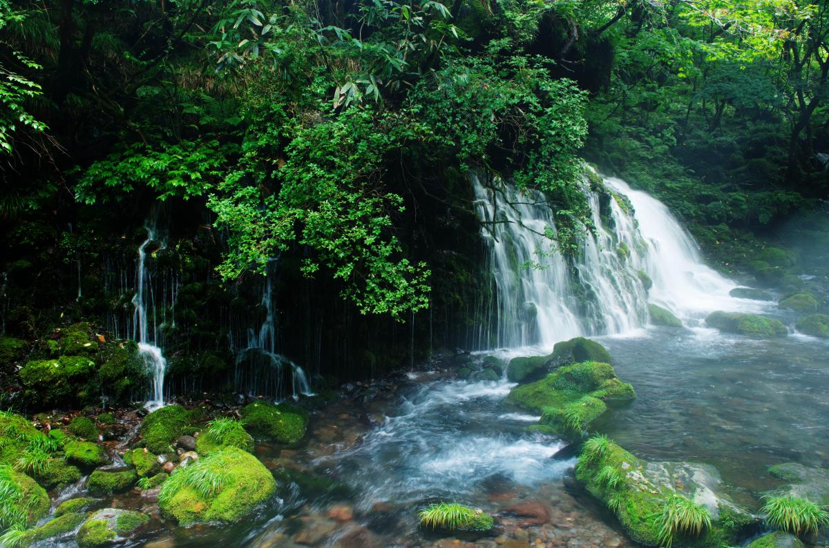 ミスティ 滝の前は真夏でもヒンヤリ。美しい伏流水はカメラマンに大人気。