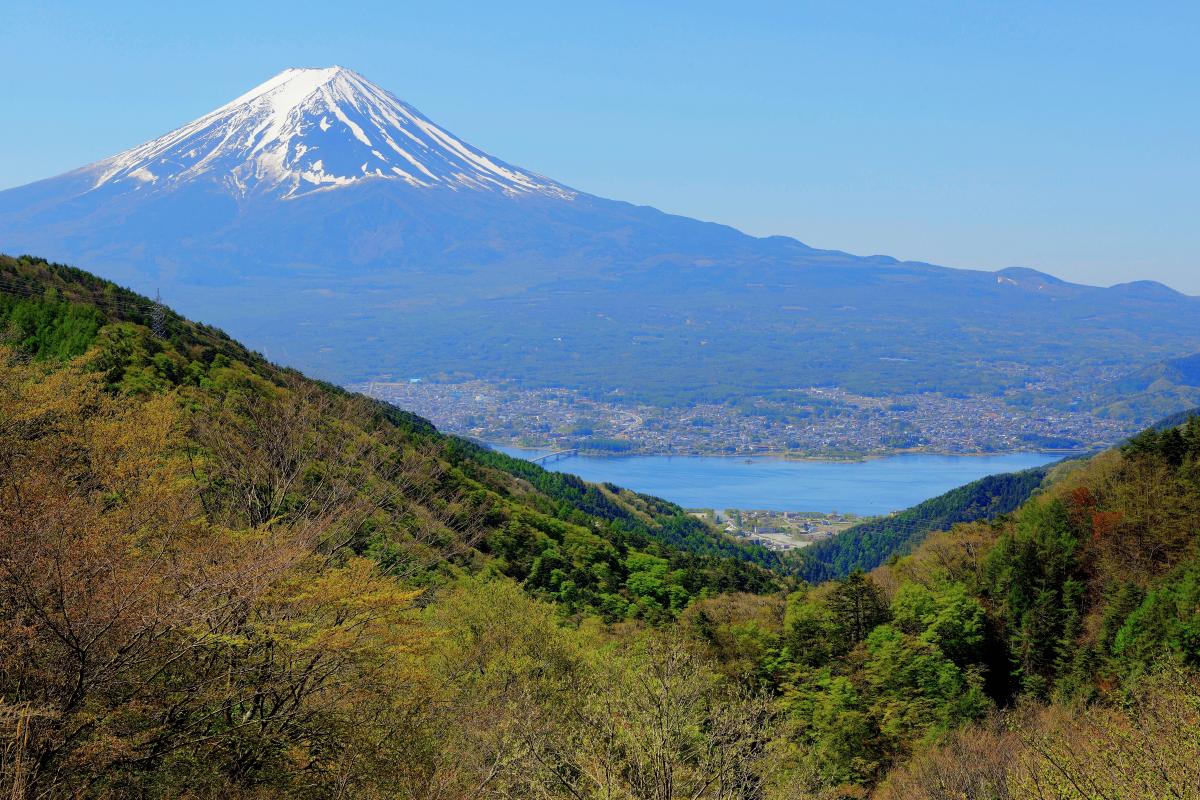 新緑の御坂峠から 新緑が進む御坂峠から河口湖と富士山を撮影。空気の澄んだ日で富士山が綺麗に見えました。