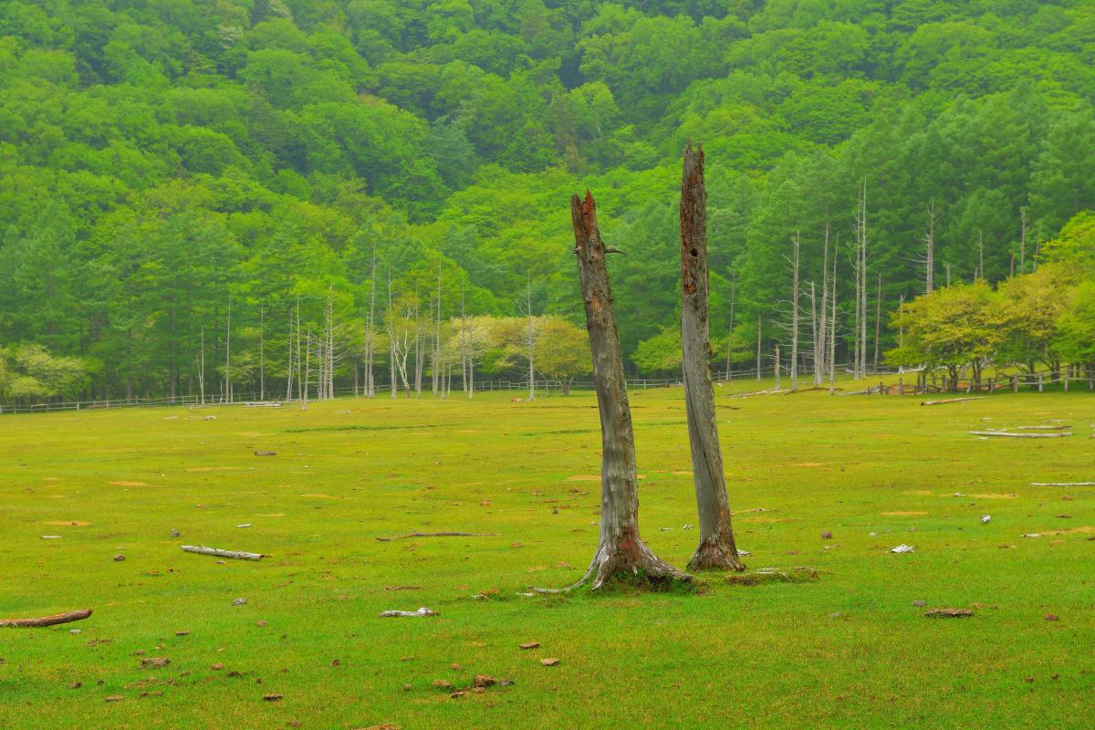 光徳牧場 ピクスポット 絶景 風景写真 撮影スポット 撮影ガイド カメラの使い方