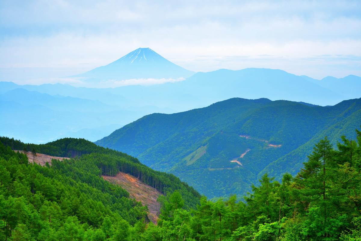 櫛形山 富士山撮影ガイド 甘利山と並ぶ人気の富士撮影スポット アクセス 駐車場情報 ピクスポット 絶景 風景写真 撮影スポット 撮影ガイド カメラの使い方