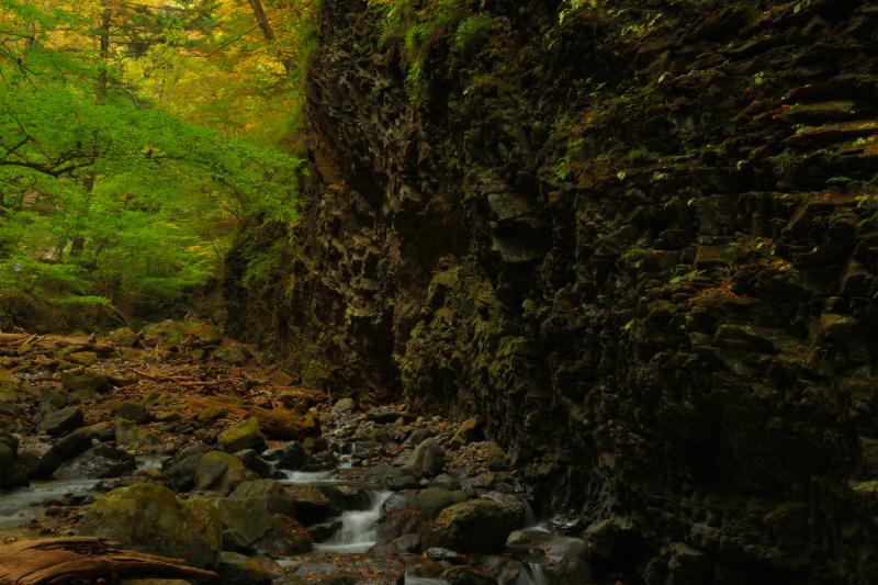 [ 垂直に切り断つ岩 ]  迫力のある岩が出てきます。黒い岩と木々のコントラストが美しい。