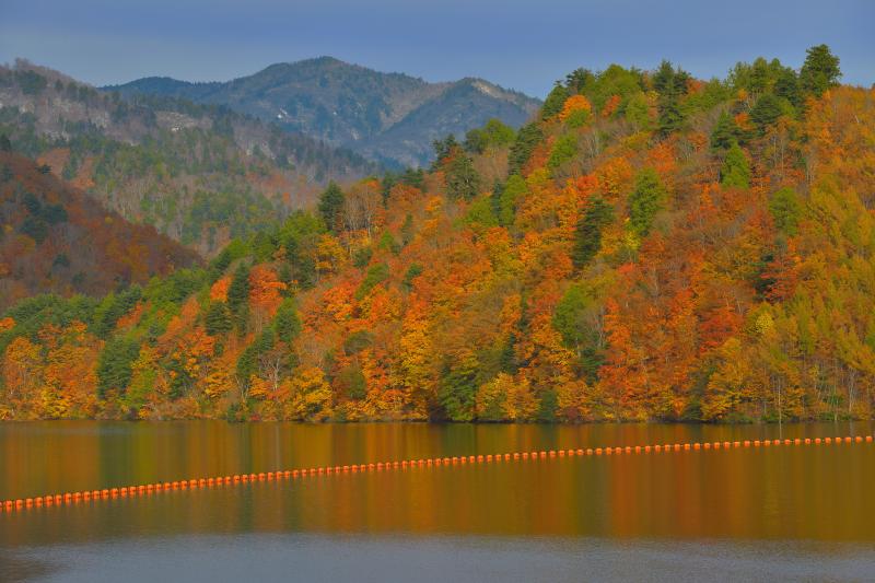 錦秋のならまた湖 | 広葉樹が多く、湖面ギリギリまで紅葉した木々で埋め尽くされています。風の無いときは美しい紅葉リフレクションが楽しめます。