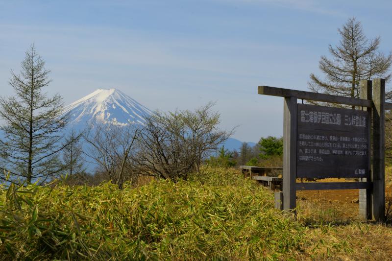 [ 三ツ峠山 ]  